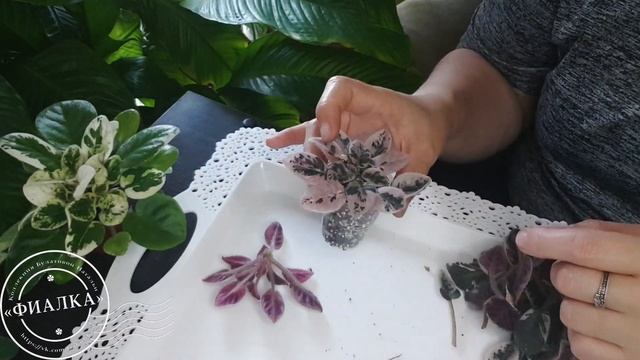 Подробнее о пасынках смотреть онлайн