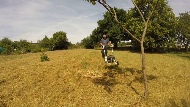 Lawn mower ,Tonte avec l'Etesia-pro 56 de 1994 Juin 2017 suite 6 смотреть онлайн