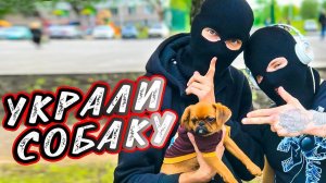 УКРАЛИ СОБАКУ | ПРАНК НАД ДЕВУШКОЙ