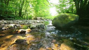 Ритуал силы. Моносов Б.М. Часть 1-8