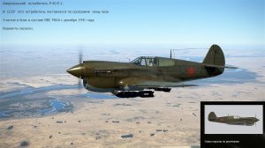 Американский истребитель P-40 E-1. В симуляторе "IL-2 Sturmovik Great Battles". Варианты окраски.