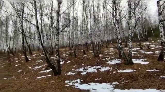 Мотопрохват regulmoto sport 003.закрыли сезон 2021,наверное... ?? смотреть онлайн