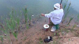 Ловля карася на поплавочную удочку. Рыбалка на карьере в Тверской обл.