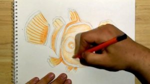 КАК НАРИСОВАТЬ РЫБКУ НЕМО ИЗ МУЛЬТФИЛЬМА "В ПОИСКАХ НЕМО"