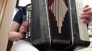 Лизгинка на гармошке.