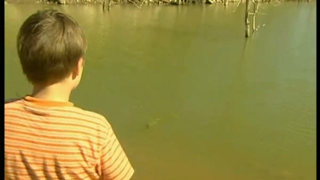 Лимпопо сафари 2 смотреть онлайн