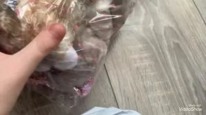 Распаковка котят с Alixpress😻😸