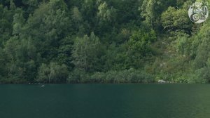 Медведь плывет по озеру Кардывач