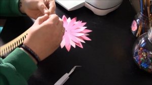 Cricut - 3D Cactus flower from Access instruction tutorial video