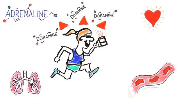 Как ведет себя мозг под кофе смотреть онлайн