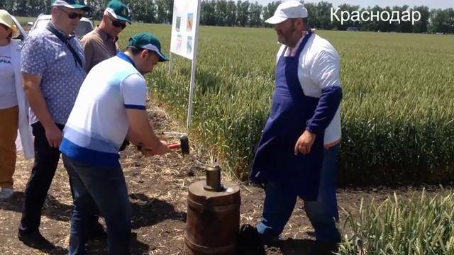 Чеканка монет. Краснодар. ДеньПоля