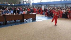 УШУ в Новосибирске.Соревнования по УШУ.Выступает Шашин Александр