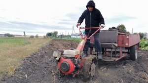 Застрял в огороде с мотоблоком Вывозим навоз на свой участок земли.