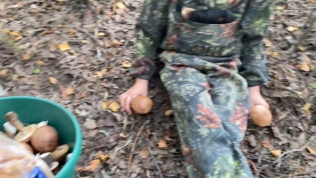 грибочки крайнего севера смотреть онлайн