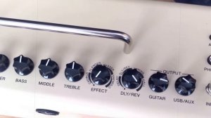 Обзор на Yamaha THR10