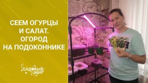 Сеем огурцы и салат осенью дома. Огород на подоконнике