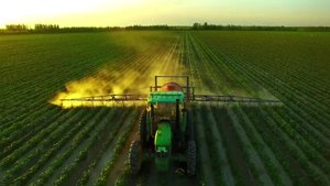 Правильное выращивание саженцев в питомнике #garden #seedling #transplant #farm