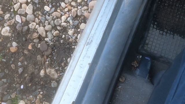 Fiat Punto Mk1 250€ смотреть онлайн