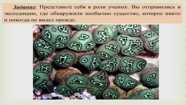 Видео разбор урока по биологии для 5 класса на тему: "Биология - комплексная наука"