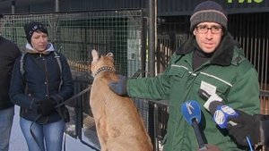 Встретились два хищника - в самарский зоопарк привезли детеныша канадской пумы