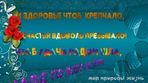Прикольно зятю от тещи с юмором