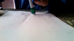 Как сделать мощную петарду  в домашних условиях