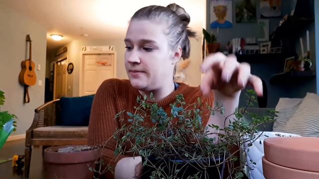 VLOG •Let's Repot Some Plants!•