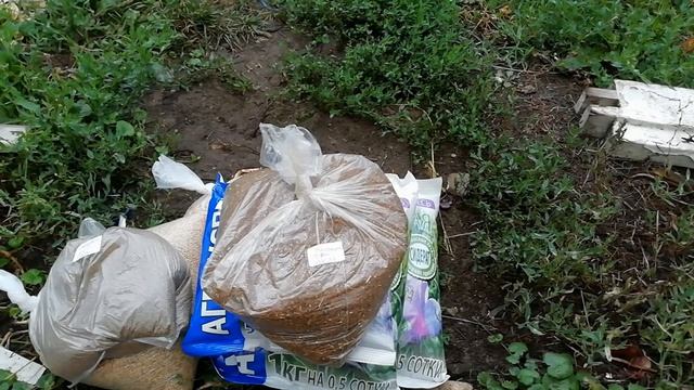 КОПАТЬ БОЛЬШЕ НЕ ПРИДЕТСЯ! КАКИЕ СИДЕРАТЫ УЛУЧШАТ ПЛОДОРОДИЕ ПОЧВЫ БЕЗ УДОБРЕНИЙ И ХИМИИ? смотреть онлайн