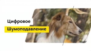 Телевизор Samsung UE55RU7300U