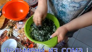 Пельмени из сома.