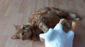 Когда Персик впервые увидел гуся