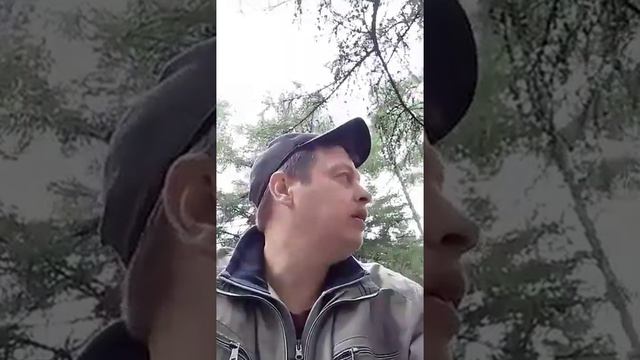 Московская Лобуда смотреть онлайн