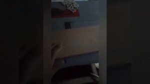 светящаяся адресная табличка на дом своими руками