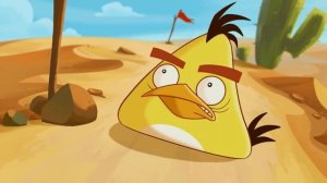 Angry Birds Toons Compilation | Season 1 Mashup | Ep14-26