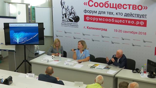 Деловая игра-проблемный семинар «Механизмы экономического развития территорий». Форум «Сообщество»