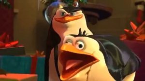 Пингвины из Мадагаскара