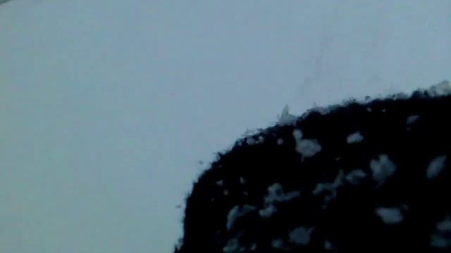 Обзор на забор пилот смотреть онлайн