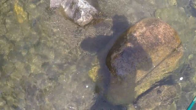 Ловля ХАРИУСА на СПЛЕТНЮ смотреть онлайн