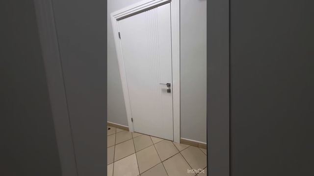 Смальта риф. Любовь с первого взгляда