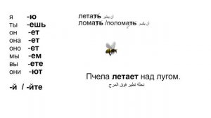 تعلم اللغة الروسية: الدرس 36 المجموعة الأولى من الأفعال