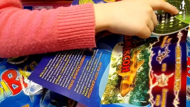 Акулы Макси (Желторотая Барракуда и Акула Порт-Джексон) смотреть онлайн