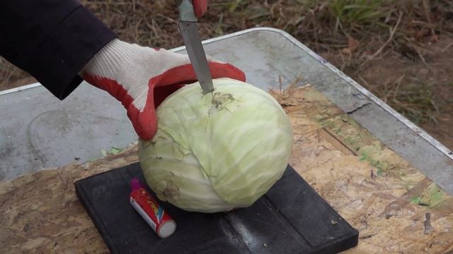 Мощная ПЕТАРДА vs принтер. смотреть онлайн