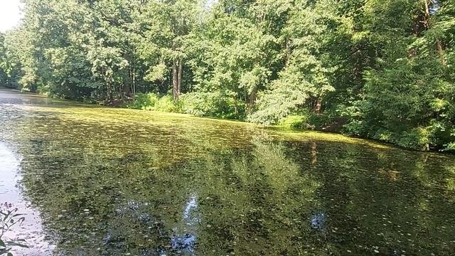 Нумерология