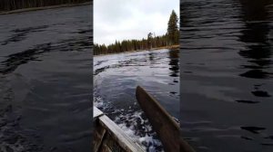 Категория...Осень...река ЧиРка-кемь.октябрь 2018...рыбалка