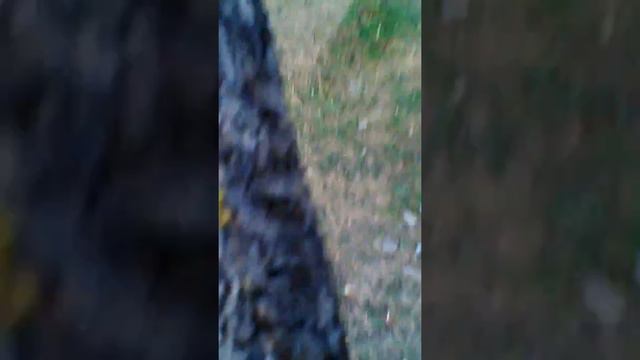 Наши дачи смотреть онлайн