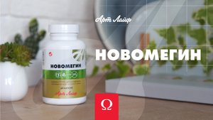 НОВОМЕГИН