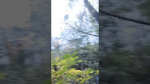 Прошёл через заросли на озеро