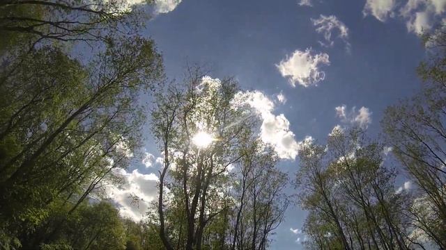 Strelka River Rock'n'Roll смотреть онлайн