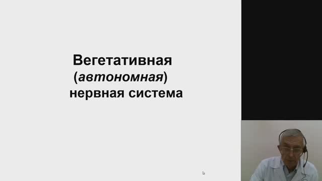 Нормальная физиология. Вегетативная нервная система