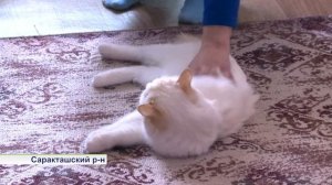 Проверка жилья для детей-сирот